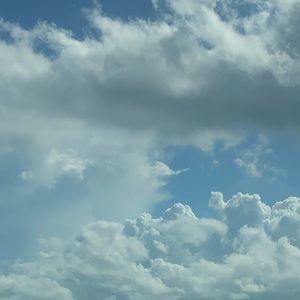 Meet your Posher, Sierra